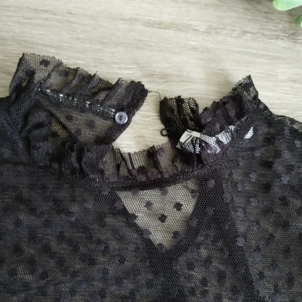 Zara Sheer Black Ruffled Blouse Large